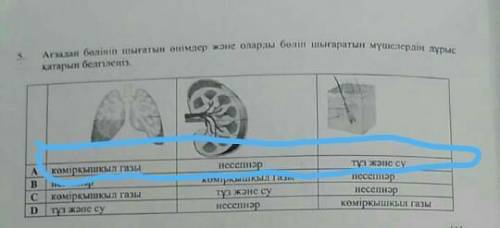 Плз до 20:00 или 17:00 по мск