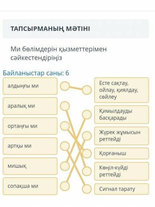 ТАПСЫРМАНЫҢ МӘТІНІ Ми бөлімдерін қызметтерімен сәйкестендіріңізБайланыстар саны: 6алдыңғы миЕсте сақ