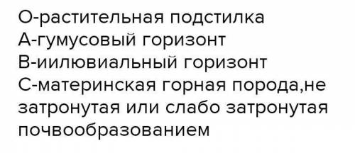 Определите по рисунку горизонты почвенного профиля. А-горизонт - C-горизонт - Б) Какую роль выполняе