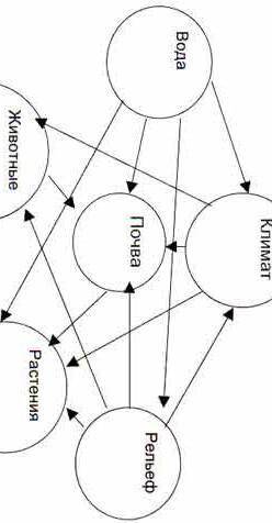 Укажите комплимент, не название на схеме взаимодействия компонентов природного комплекса​