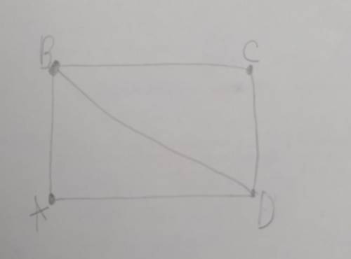 3. Дан квадрат ABCD, постройте вектор BD, назовите его начало иконец.в тетради​