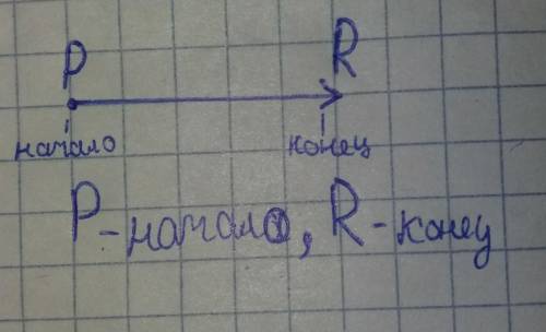 3. Изобразите вектор PR. Укажите начало и конец вектора.​