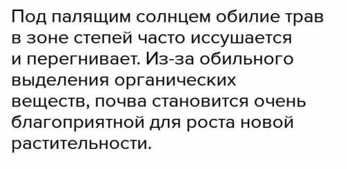 А) в лесной зоне растительности Больше, чем в зоне степей. Однако плодородие почв, в )степной зоне в