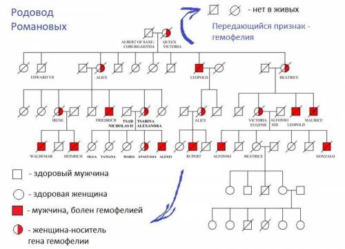 Родовід видатних людей​