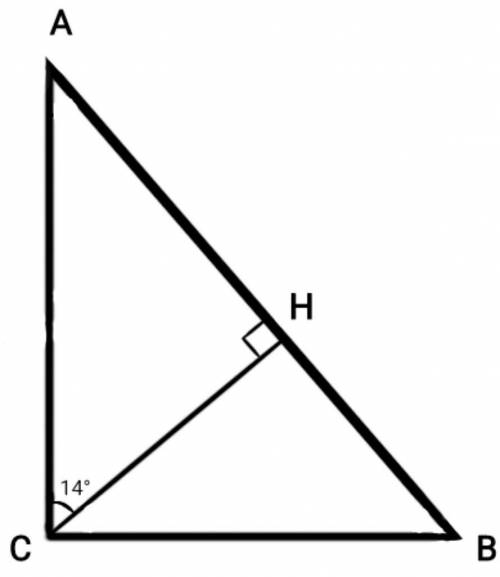 кут між висотою сн і катетом са прямокутного трикутника АВС (С=90°) дорівнює 14°. Знайдіть гострі ку