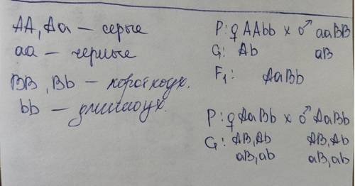 1. У кролів ген чорного кольору шерсті домінує над геном білого. Гомозиготного чорного кроля схрести