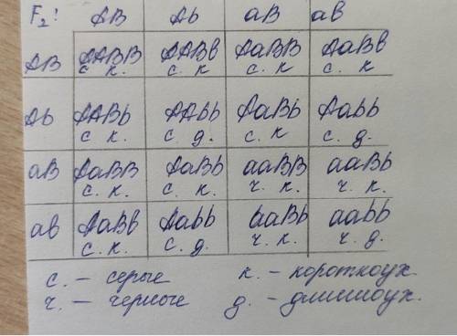 1. У кролів ген чорного кольору шерсті домінує над геном білого. Гомозиготного чорного кроля схрести