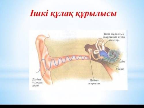 Аллашалслалаштстчосос​