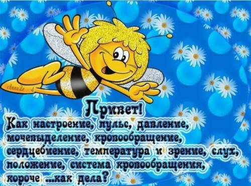 Привет! Как дела? У меня хорошо. Что делаешь? Я уроки. Как тебя(вас) зовут? Меня Раййана. Сколько те