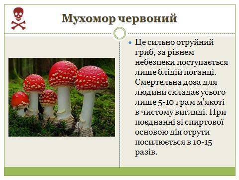 Назва отруйної рослини, тварини, гриба, потім їх зовнішній вигляд і особливості​