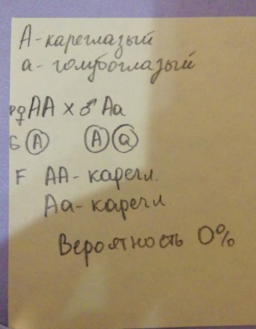 Определите и запишите вероятность рождения голубоглазых детей , если один гомозиготный кареглазый,др