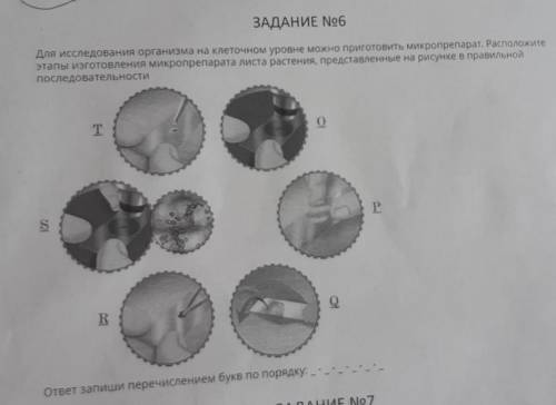 для пользования организма на клеточном уровне можно приготовить микропрепарат Запишите это приготовл