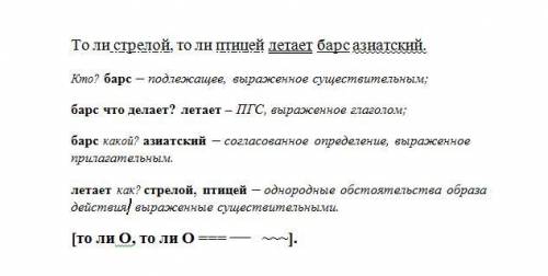 Составьте схему однородных членов первое Предложения то ли стрелой то ли птица летает Барс азиатский