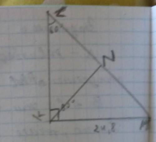 треугольнике KLM известно, что KM=18,6 дм, М = 30° , К= 90° . Найдите расстояние от точки К до прямо