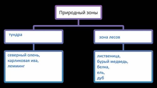 Слова для справки: лиственница, северный олень, тундра, бурый медведь, карликовая ива, зона лесов, б