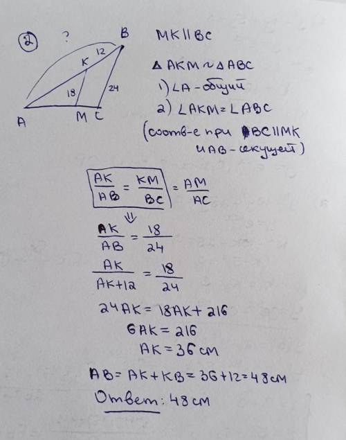 Тема подобие треугольников