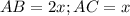 AB = 2x; AC = x