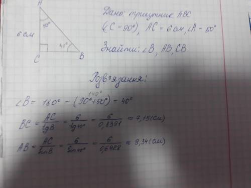 Трикутник АВС прямокутний (кут С=90°) , АС=6 см, кут А=50°. Розв'яжіть цей прямокутний трикутник (Ст