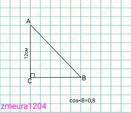 Знайдіть невідомі сторони прямокутного трикутника ABC (кут C = 90), якщо AC = 12 см, соѕВ=0,8a) N4,8