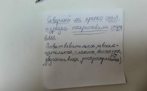 Синтаксический разбор предложения: Северный лес крепко спал, изредка поскрипывали старые если​