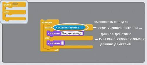 Як виконується цикл з розгалуженням в Scratch?​