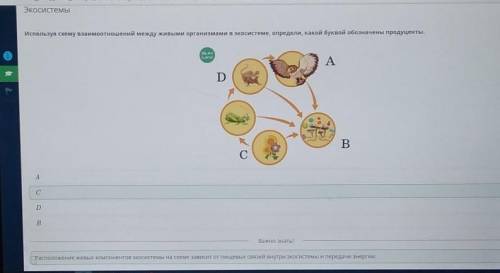 Используя схему взаимоотношений между живыми организмами в экосистеме, определи, какой буквой обозна