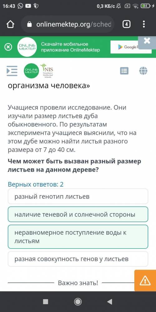 Учащиеся провели исследование. Они изучали размер листьев дуба обыкновенного. По результатам экспери