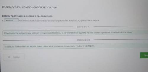 Вставь пропущенное слово в предложение.Kу компонентамэкосистемы относятся растения,животные, грибы и