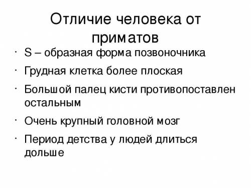 Які особливості відрізняли гомінід від інших представників приматів?​