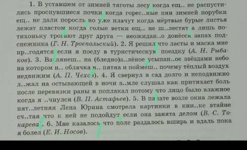 Вставьте, где необходимо, пропущенные буквы, раскрывая скобки и расставляя недостающие знаки препина