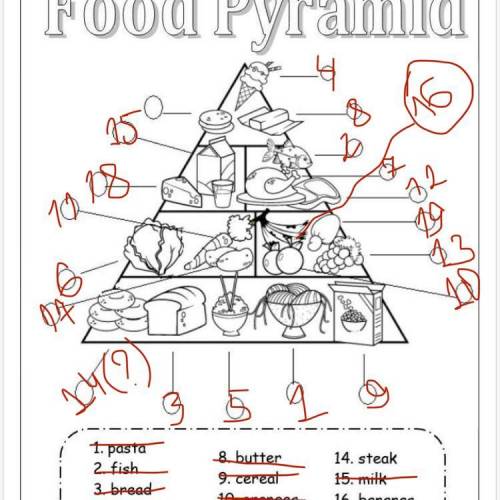 Food Pyramid 1. pasta 2. fish 3. bread 8. butter 14. steak 9. cereal 15. milk 10. oranges 16. banana