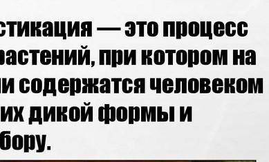 Небольшое сообщение на тему: История одомашнивания животных (5-8 строчек)Только адекватно, заранее