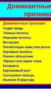 Проверь себя: 1.Где расположены хромосомы в клетке?2.Из чего состоит хромосома? 3.Что такое ДНК? Что