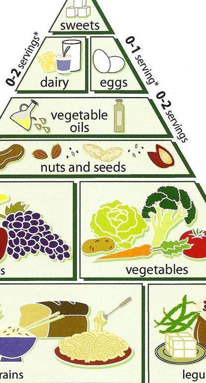 Составление меню. Урок 1 Восстанови последовательность уровней продуктов в пирамиде питания сверху в