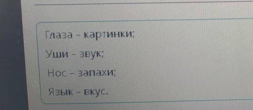 Цифровые носители информации. Урок 1 Установи соответствие между органами чувств человека и видами и