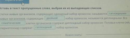 ОНЛАЙН мектеп Митоз. Мейоз. Биологическое значение митоза имейозаВыбери верное утверждение о митозе.