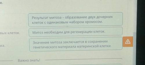 ОНЛАЙН мектеп Митоз. Мейоз. Биологическое значение митоза имейозаВыбери верное утверждение о митозе.