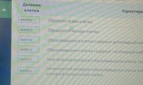 ОНЛАЙН мектеп Митоз. Мейоз. Биологическое значение митоза имейозаВыбери верное утверждение о митозе.