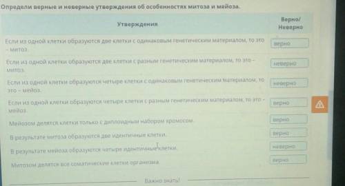 ОНЛАЙН мектеп Митоз. Мейоз. Биологическое значение митоза имейозаВыбери верное утверждение о митозе.