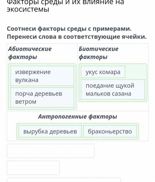 Факторы среды и их влияние на экосистемы Соотнеси факторы среды с примерами. Перенеси слова в соотве