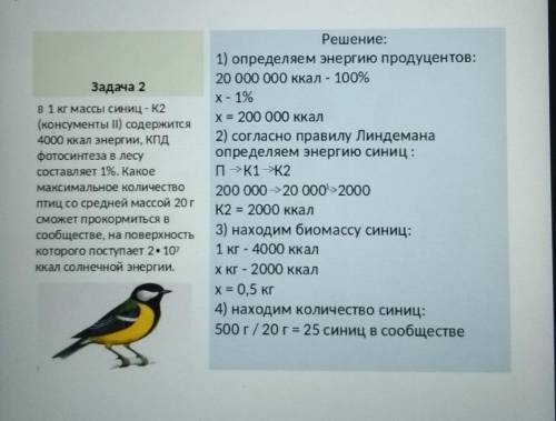 Составить 3 экологических задачи по правилам Линдемана.