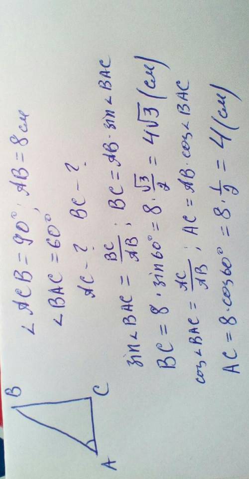 Гіпотенуза прямокутного трикутника дорівнює 8см, а один із кутів 60°. Знайти довжину​