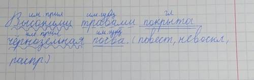 Синтаксический разбор предложения. высокими травами покрыта чёрнозёмная почва.​