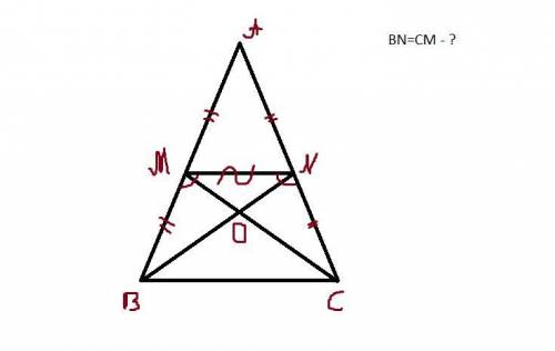 УМОЛЯЮЮЮ В треугольнике ABC AB = AC. Точки M и N – середины сторон AB и AC соответственно. Докажите,