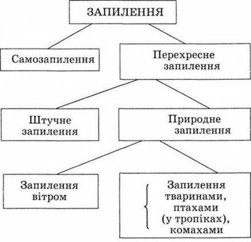 6 класскласти схему Які бувають типи запилення . ​