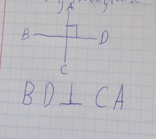 Намалюй дві перпендикулярні прямі. Познач , що вони перпентикулярні, на малюнку та зроби відповідний