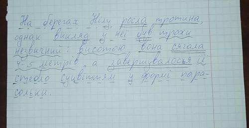 На берегах Нілу росла тростина, однак вигляд у неї був трохи незвичний: висотою вона сягала 4-5 метр