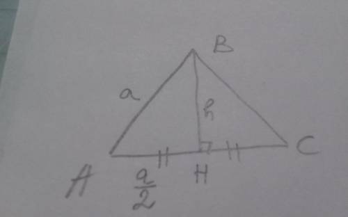 Висота рівностороннього трикутника зі сторонами A дорівнює до іть ​