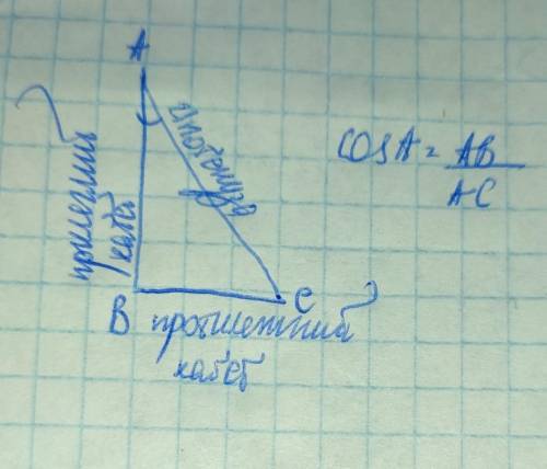 Запишіть означення косинуса гострого кута прямокутного трикутника ​