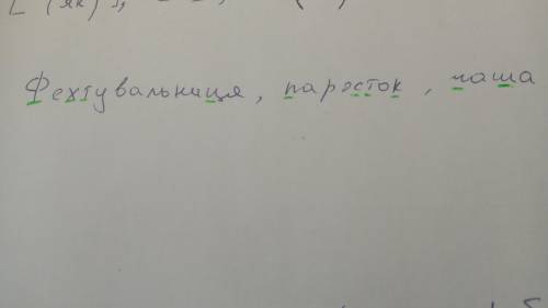 Фехтувальниця,паросток,чаша глухі приголосні та парні дзвінкі